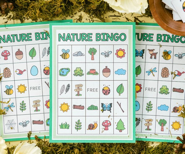 Space Bingo Free Printables The Best Ideas For Kids space-bingo-free-printables-the-best-ideas-for-kids