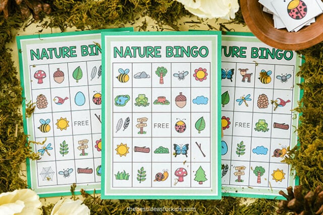 Nature Bingo Free Printable Cards