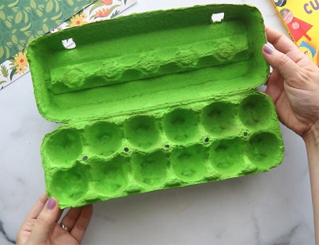 Paint Egg Carton Green