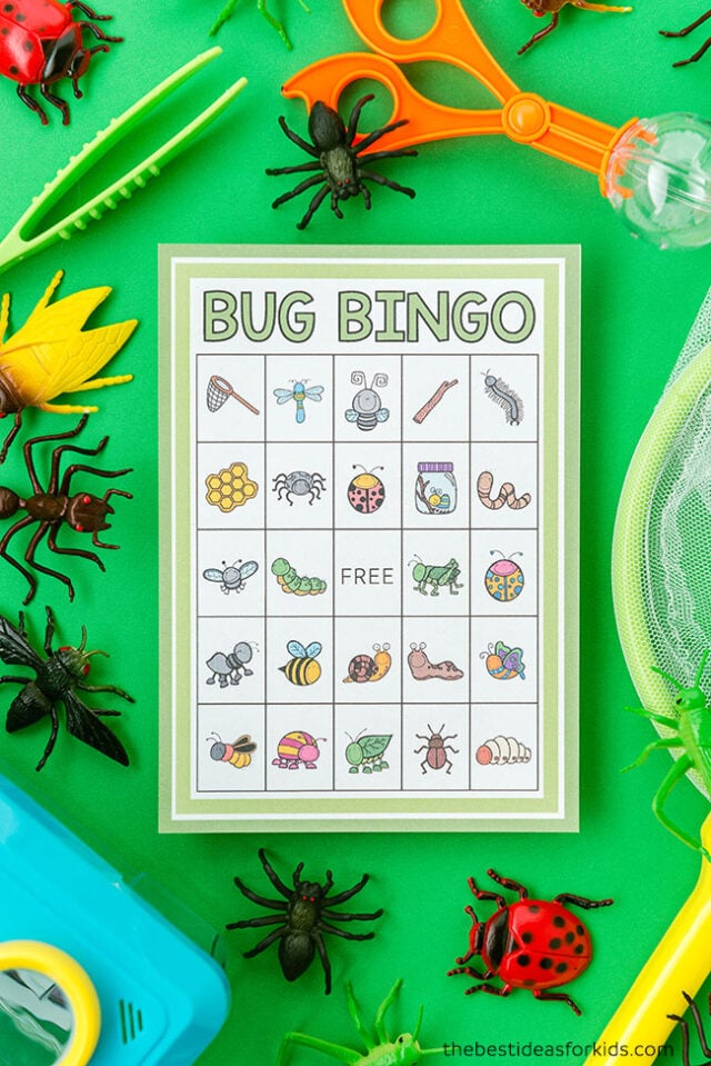 Printable Bug Bingo for Kids