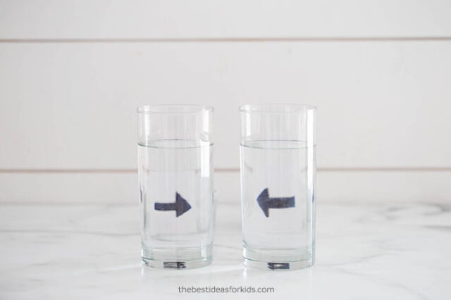 Refraction Experiment for Kids