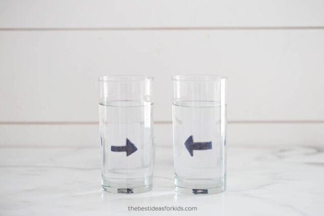 Refraction Experiment for Kids