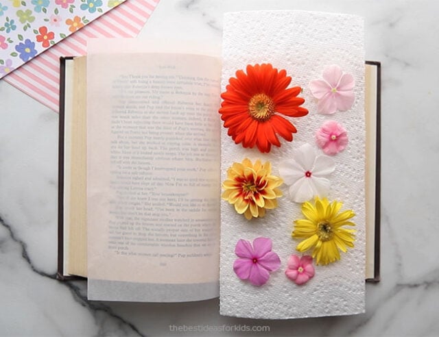 Add Flowers to Book