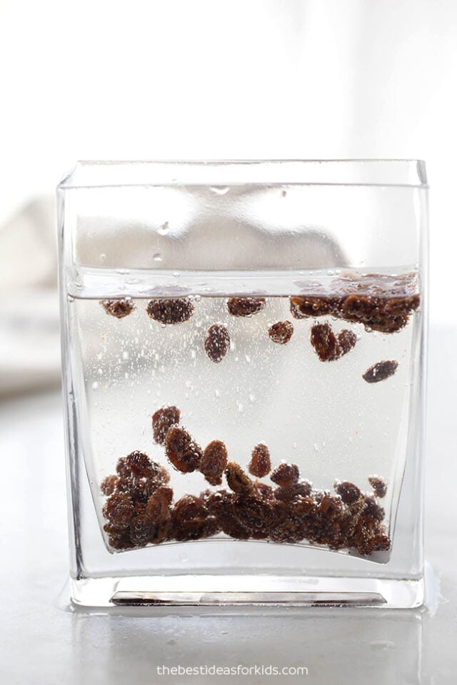 Dancing Raisins Experiment