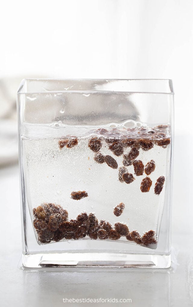 Dancing Raisins Science Experiment