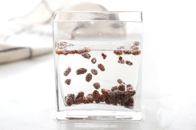 How to Make Dancing Raisins