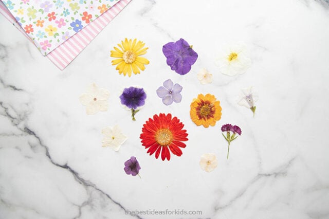 How to Make Pressed Flowers