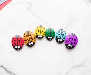 Ladybug Rock Painting