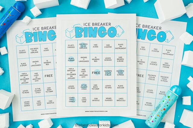 Printable Ice Breaker Bingo