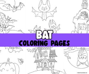 Bat Coloring Page Cover