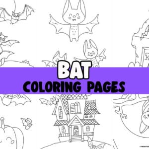 Bat Coloring Page Cover