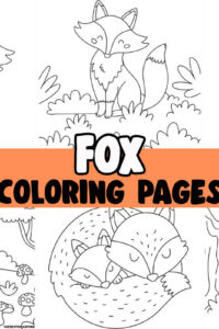Fox Cover Image