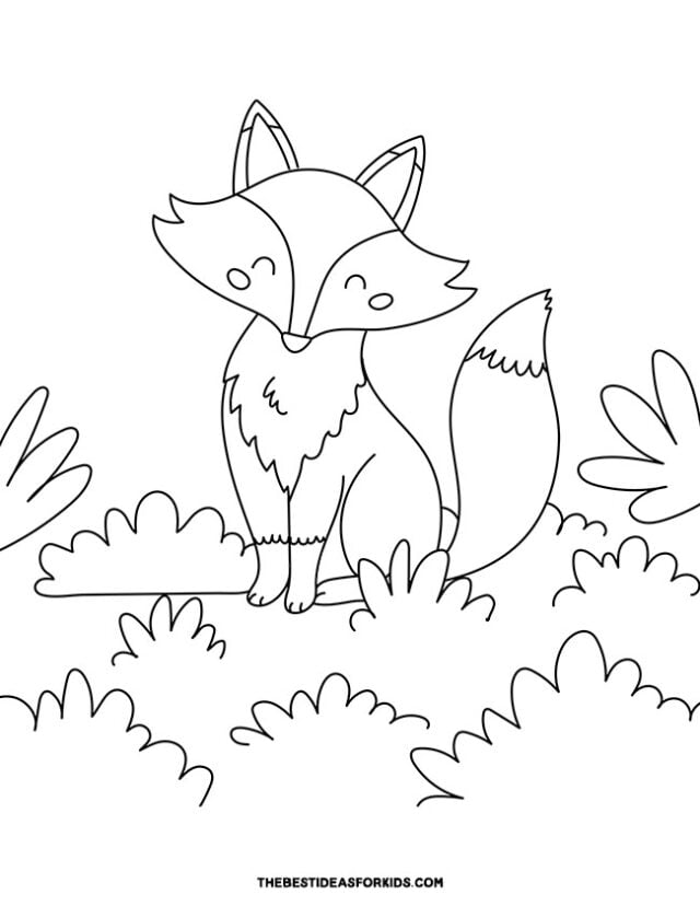 Fox Sitting Outside