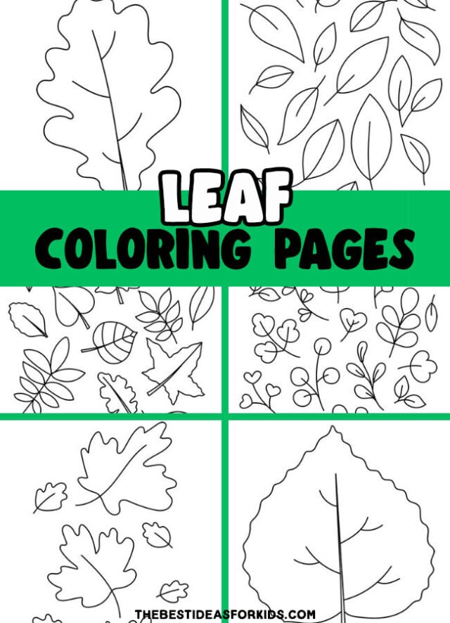 Leaf Pinterest Image