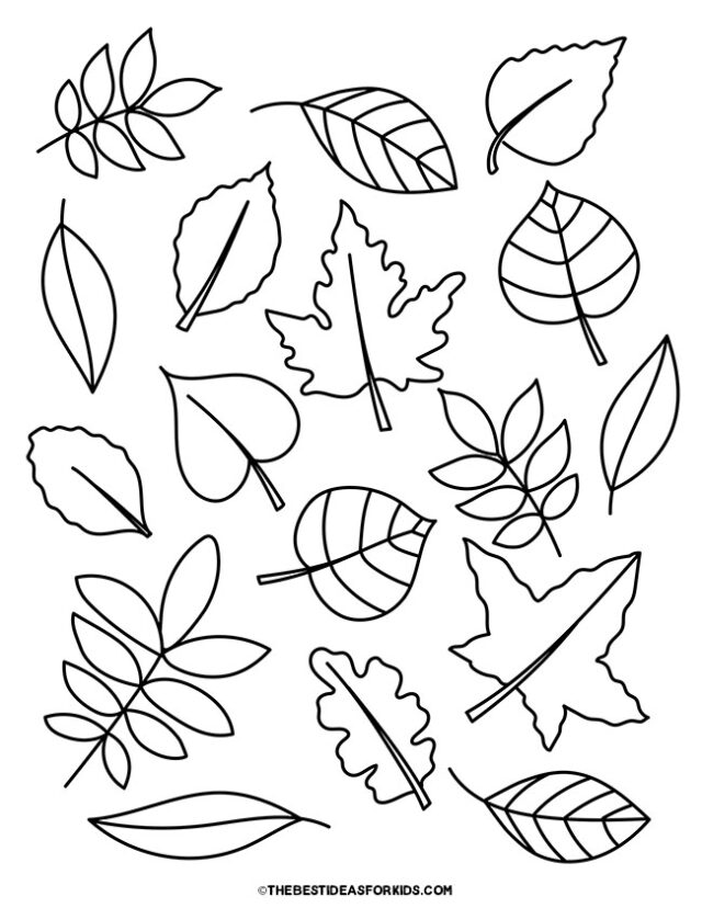 Leaf Variety Coloring Page