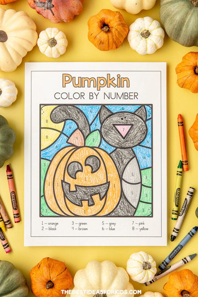 Pumpkin and Cat Color by Number