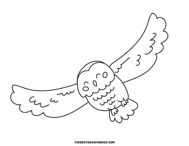 Flying Owl