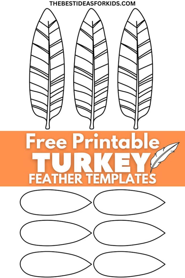 Free Printable Turkey Feather Template