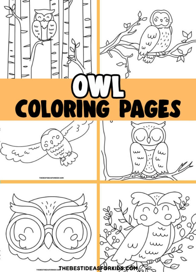 Owl Coloring Pages Pin