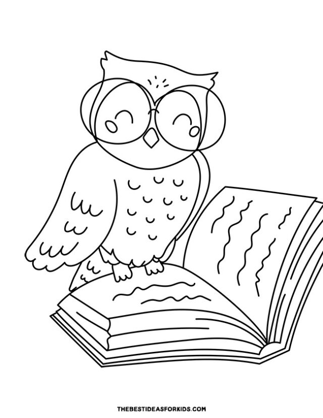 Owl Reading a Book