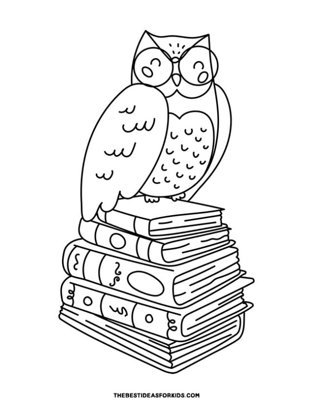 Owl and Books