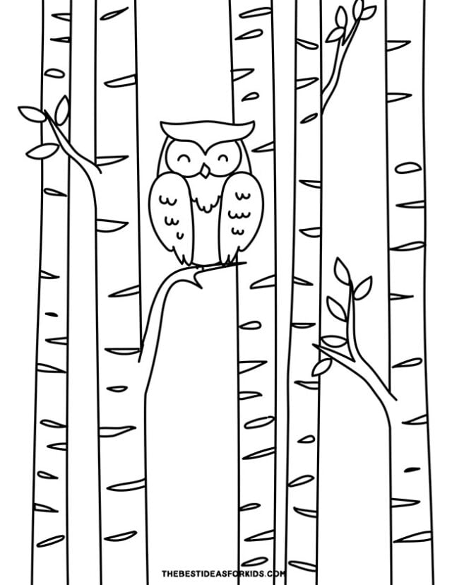 Owl in a Forest