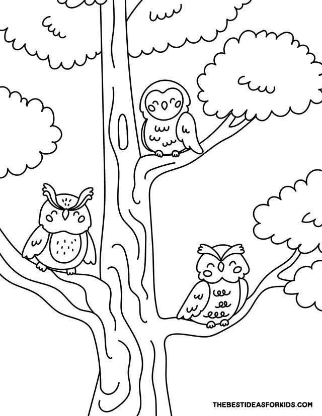 Owls in Tree Coloring Page