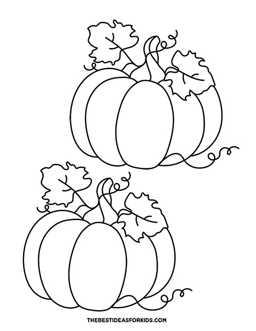 Pumpkin with Vines and Leaves - Medium