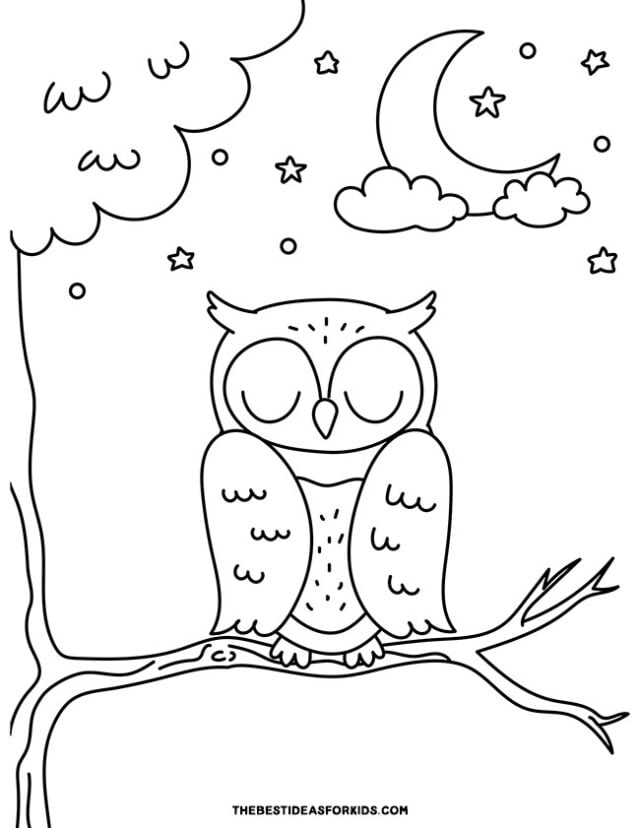 Sleeping Owl