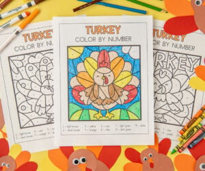 Turkey Color by Number