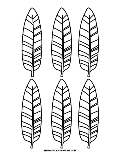Turkey Feather Template (Free Printables) The Best Ideas for Kids