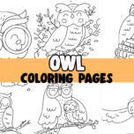 owl coloring page cover