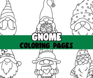 Gnome Coloring Pages Cover