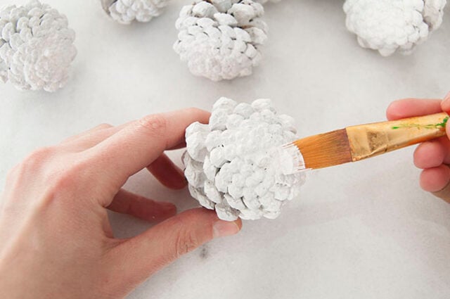 Painting pinecones white