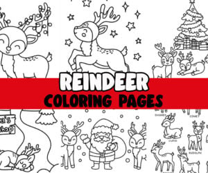 reindeer coloring pages cover