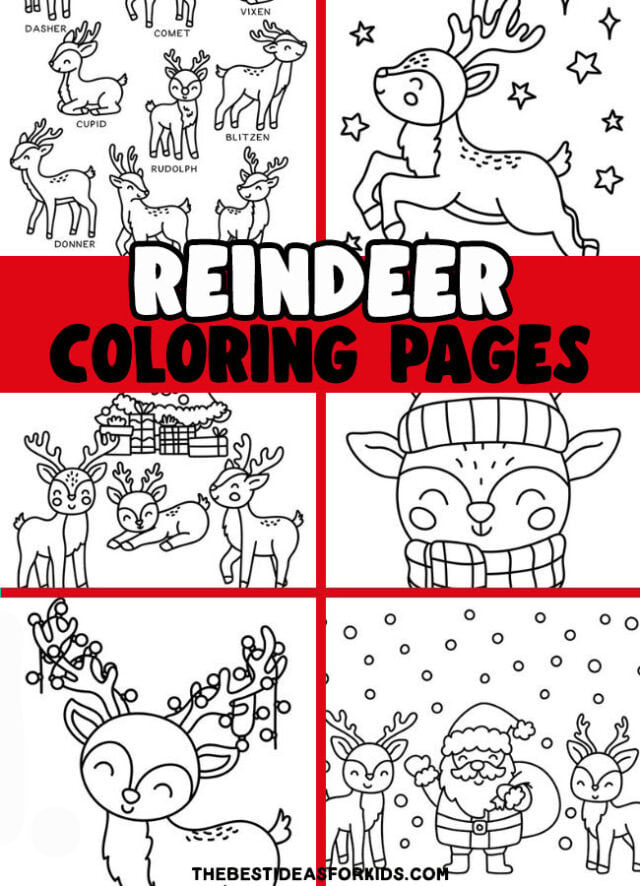 reindeer coloring pages for kids