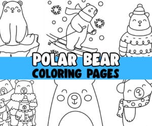 polar bear coloring page
