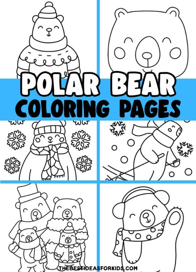 polar bear coloring page pin
