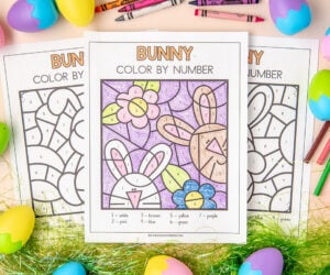 Bunny Color by Number