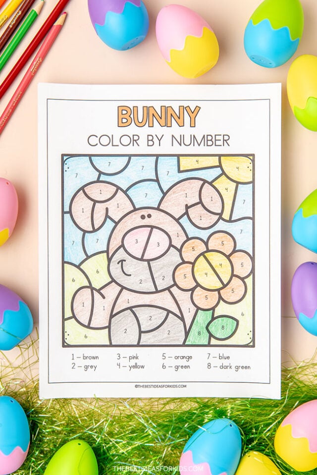 Color by Number Rabbit
