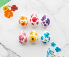 Pressed Flower Easter Egg Craft cover