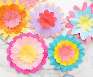 Paper Flowers