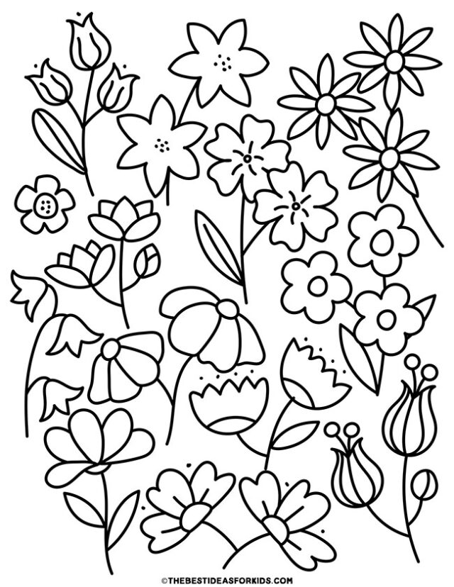 beautiful flowers coloring page