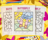 butterfly color by number cover