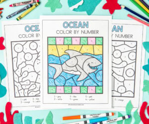 ocean color by number cover