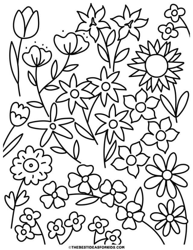 pretty flowers coloring page