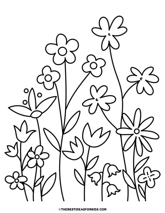 wildflowers coloring page