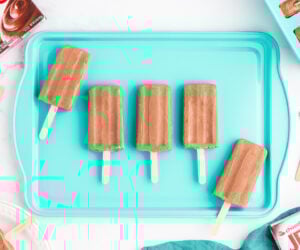 Homemade Fudgesicles cover