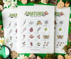Nature Scavenger Hunt