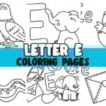 letter e cover